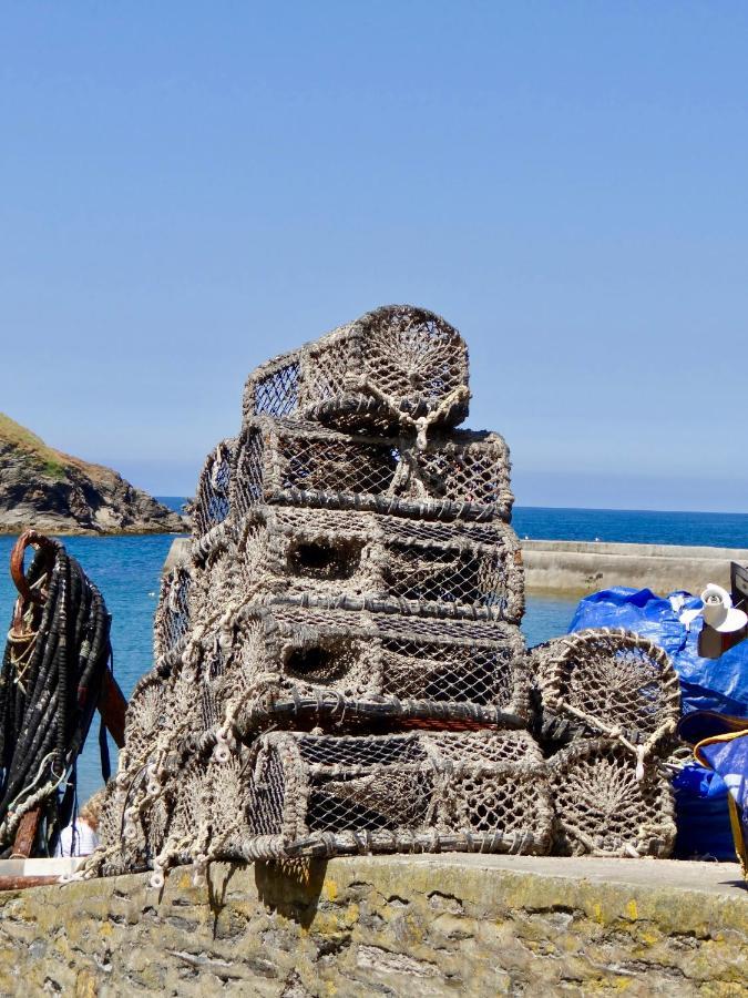 The Slipway B&B Port Isaac Ngoại thất bức ảnh