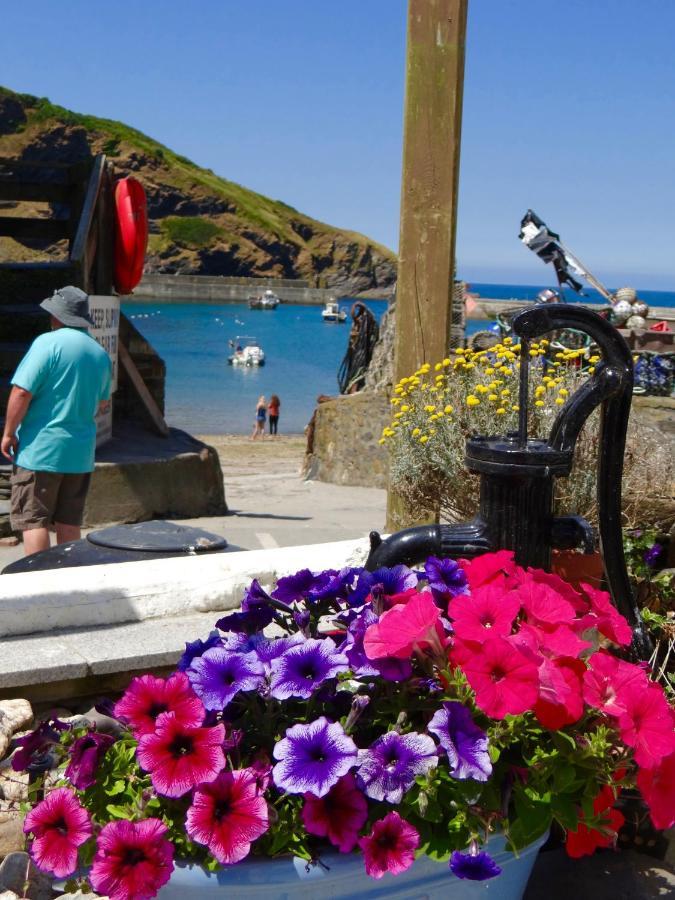 The Slipway B&B Port Isaac Ngoại thất bức ảnh